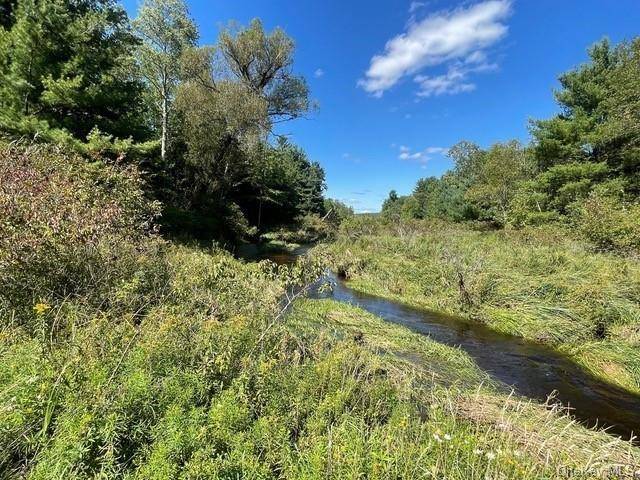 Bethel, NY 12720,Lot 28 Gina Lane Tr 127