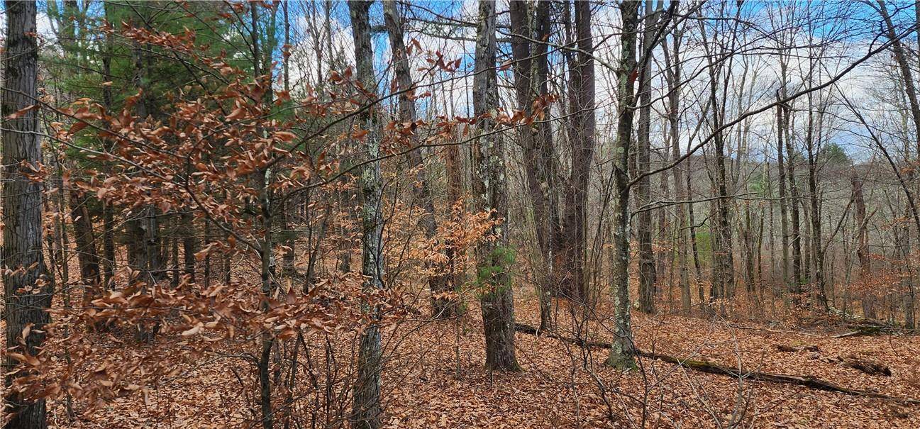 Monticello, NY 12701,Hilltop RD