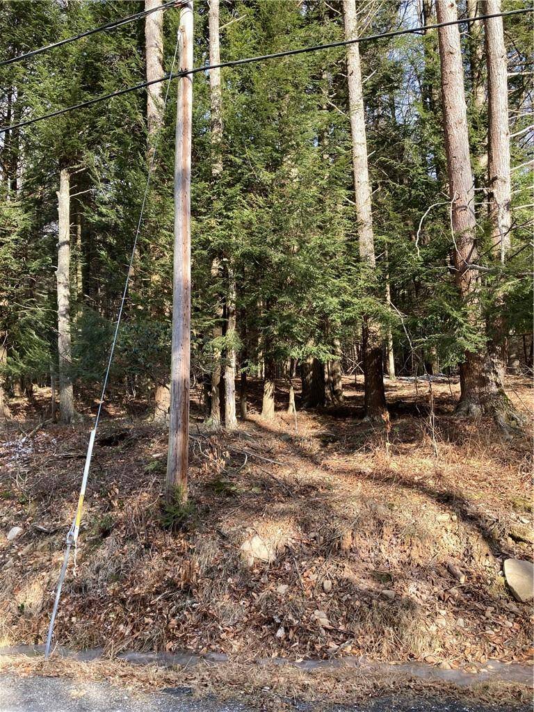 Liberty, NY 12754,Old Dahlia RD