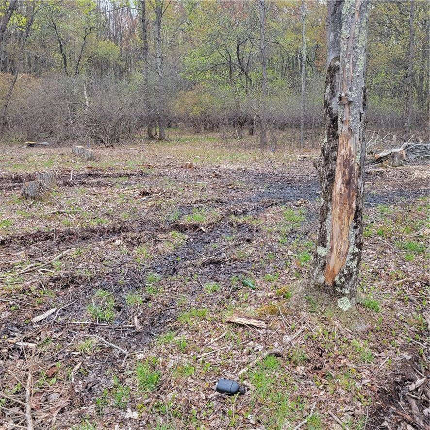 Liberty, NY 12754,Walnut Mountain RD