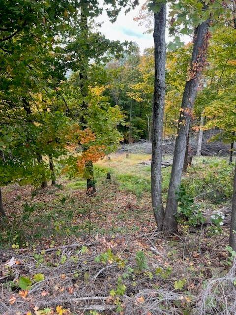 Poughkeepsie, NY 12603,Hillcrest DR
