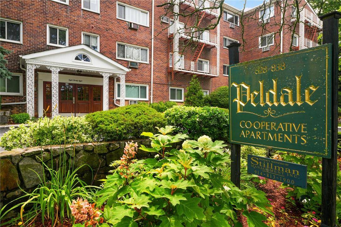 New Rochelle, NY 10801,828 Pelhamdale AVE #2B