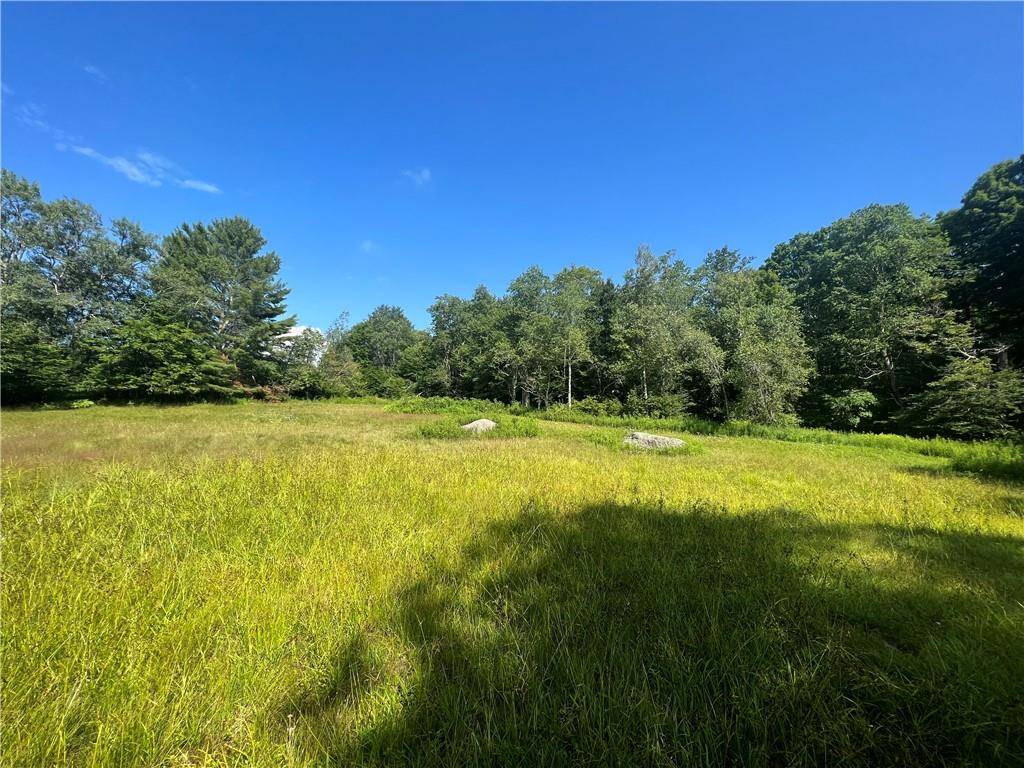 Livingston Manor, NY 12758,909 Debruce RD