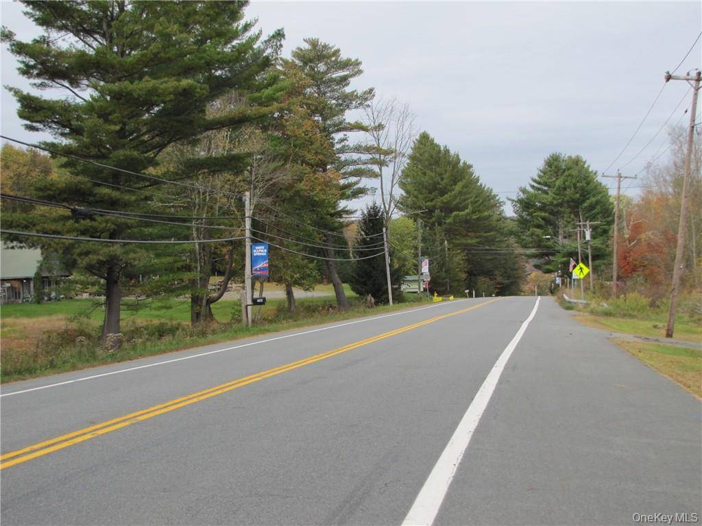 White Sulphur Spring, NY 12754,State Route 52