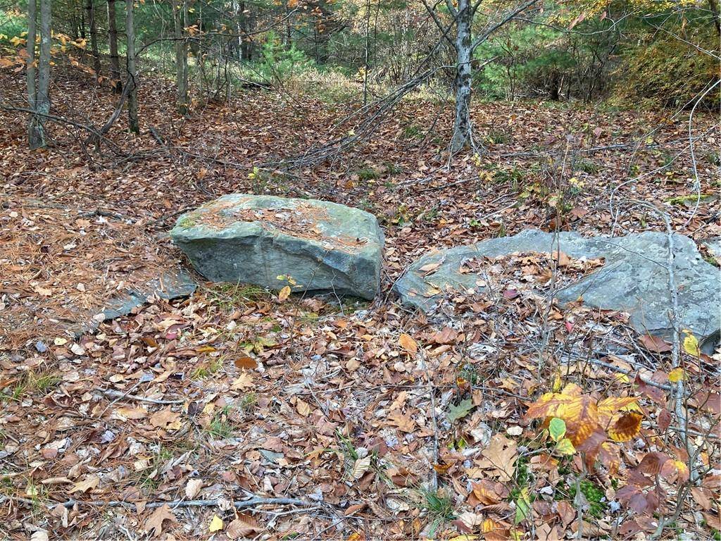 Mongaup Valley, NY 12762,140 Plank RD