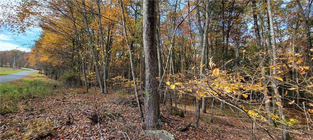 Narrowsburg, NY 12764,Lot 26 Wood Oak DR