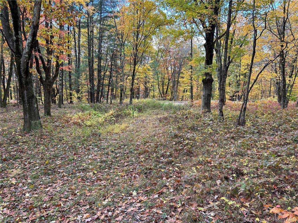 Austerlitz, NY 12017,1 W Hill RD