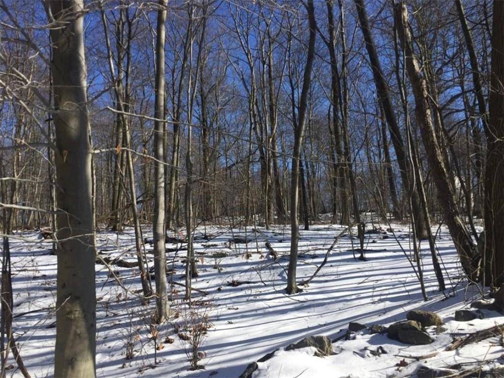 Mahopac, NY 10541,502 Barrett Hill RD