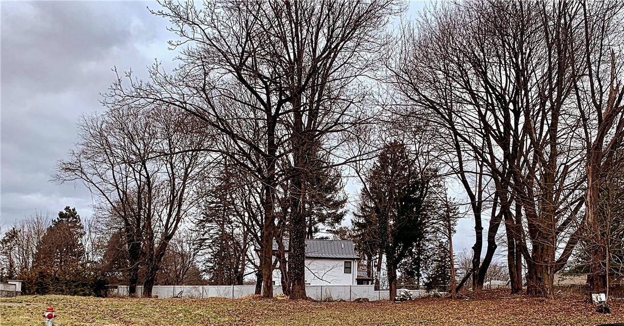 Elmsford, NY 10523,11 Knollwood Crest