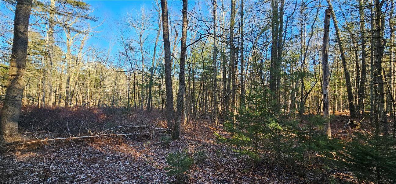 Barryville, NY 12719,Lot 57.1 Yulan-Barryville RD
