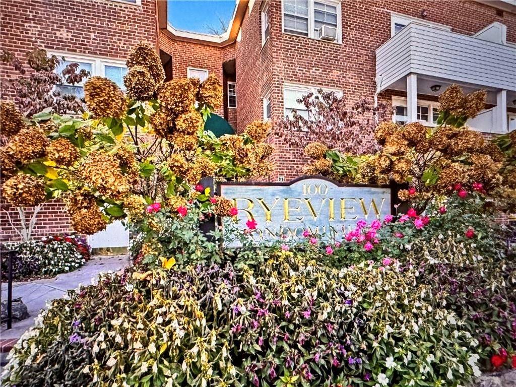 Rye Brook, NY 10580,100 Theodore Fremd AVE #A1E