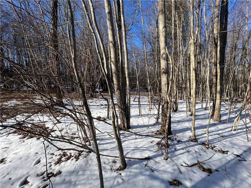 Loch Sheldrake, NY 12759,Lot 6.2 W State Route 52