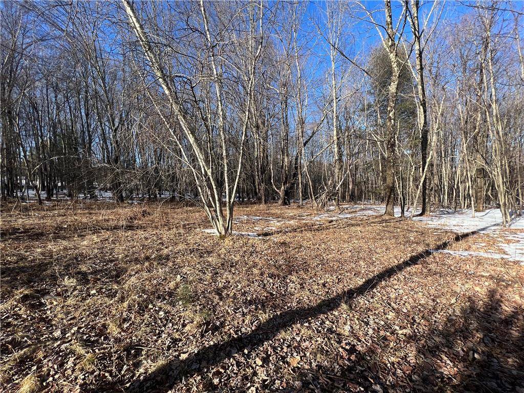 Loch Sheldrake, NY 12759,Lot 6.2 W State Route 52