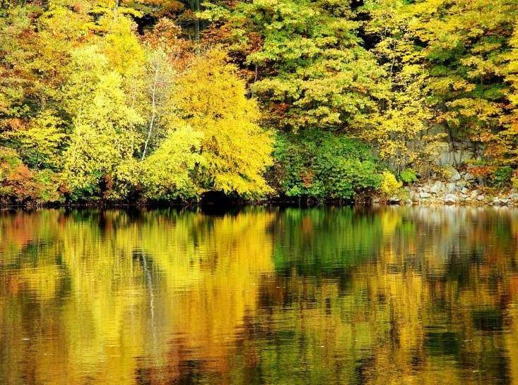 Carmel, NY 10512,Ponderosa RD