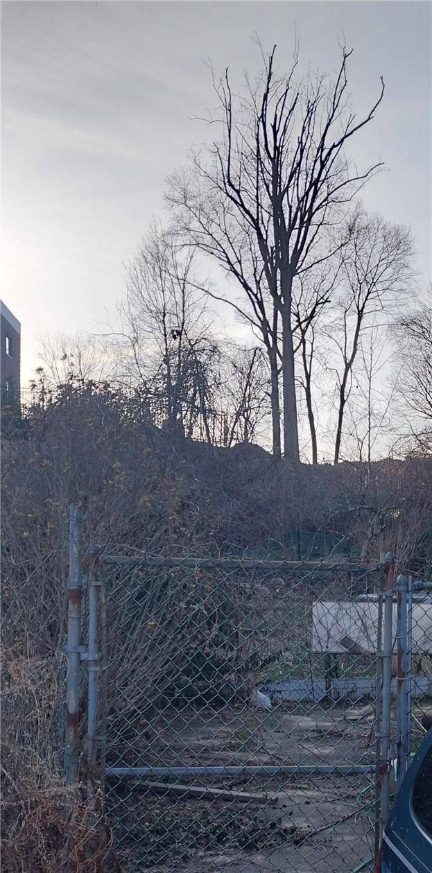 Spring Valley, NY 10977,243 N Pascack RD