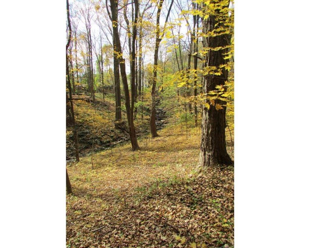Katonah, NY 10536,202 Route 100