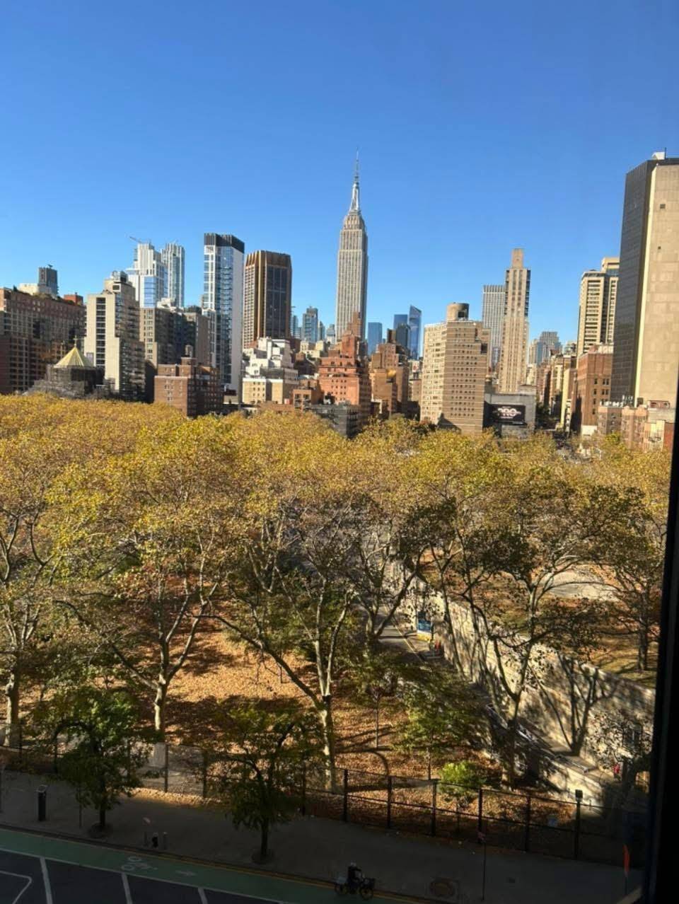 New York (manhattan), NY 10016,630 1st AVE #9L