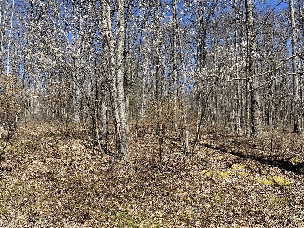 Callicoon, NY 12723,Country LN