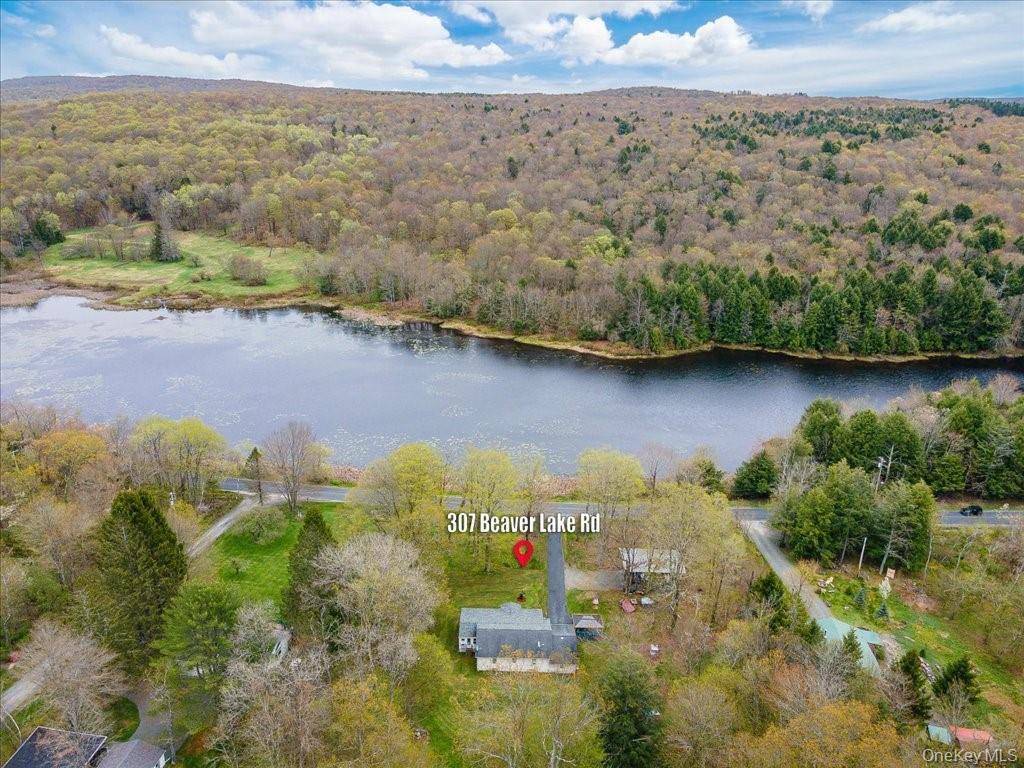 Livingston Manor, NY 12758,307 Beaver Lake RD