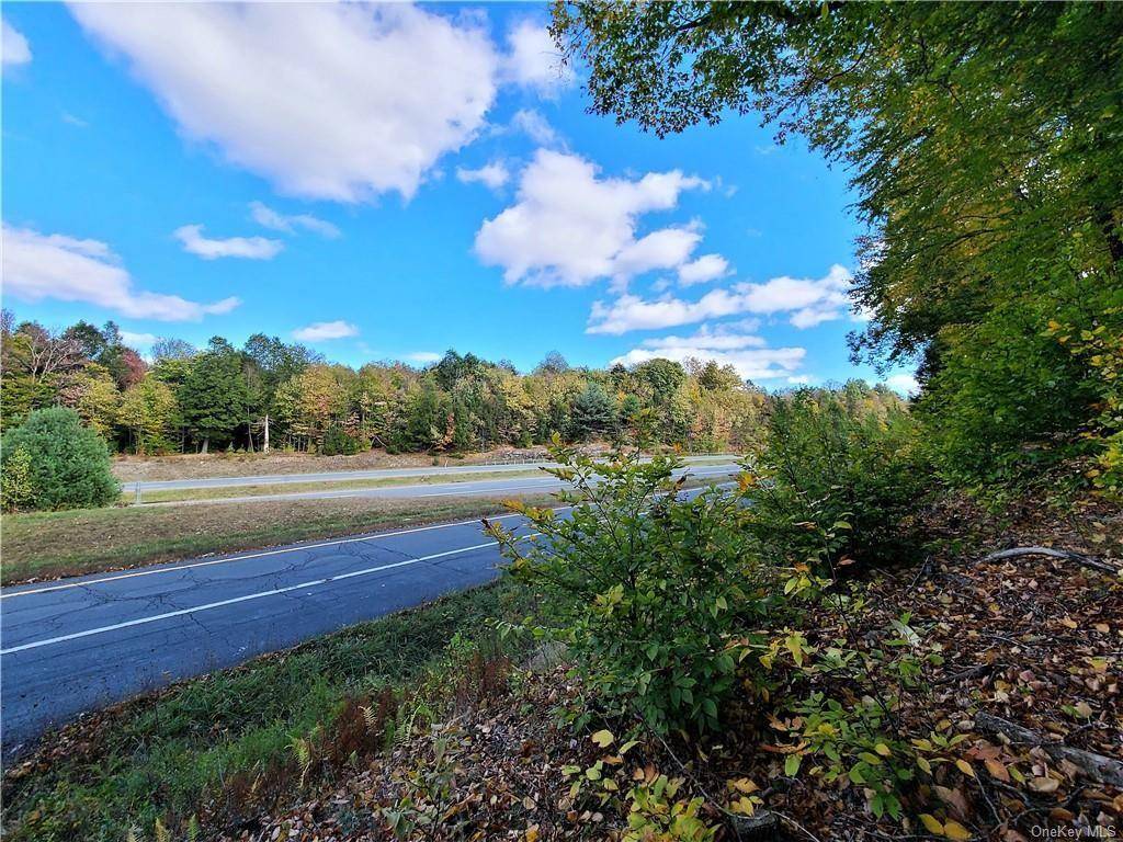 Monticello, NY 12701,Lot 5.4 Kaufman RD