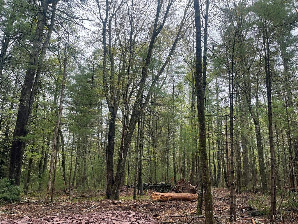 Barryville, NY 12719,Lot 1 Van Tuyl RD