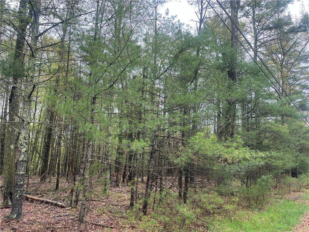 Barryville, NY 12719,Lot 2 Van Tuyl RD