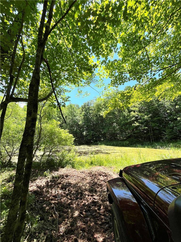Livingston Manor, NY 12758,Dahlia LOT 2 RD