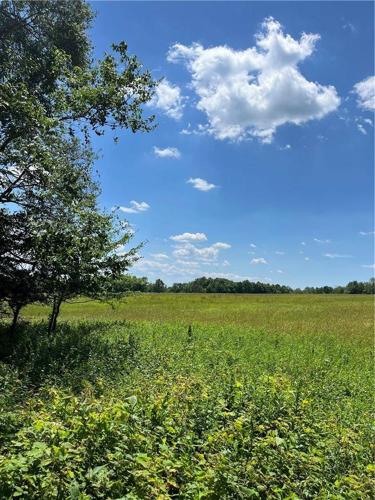 Livingston Manor, NY 12758,Dahlia LOT 2 RD
