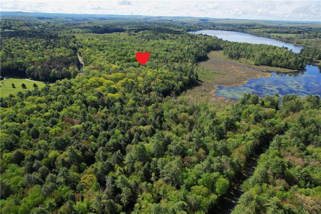White Lake, NY 12786,Lot 4 Deer Meadow RD
