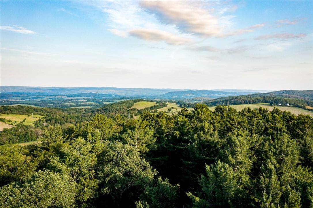 Millerton, NY 12546,5 Homestead Farm #15 LN