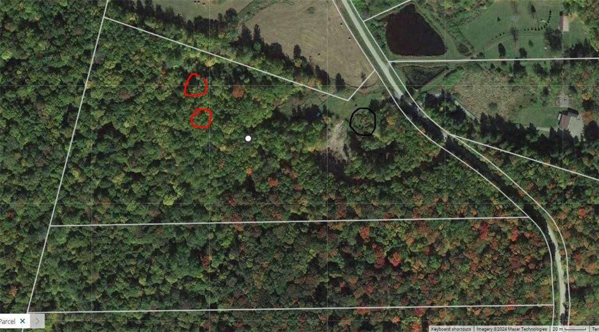 Fremont Center, NY 12736,Wm Brown RD