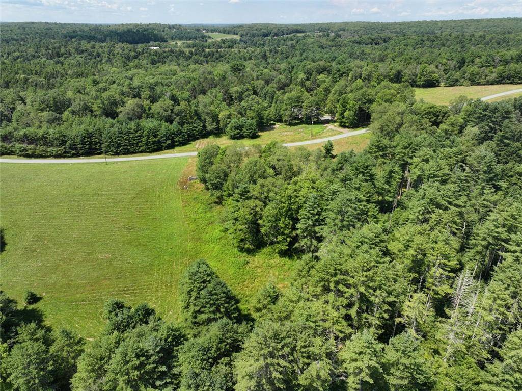 Cochecton, NY 12726,5 Pine Meadows Farm, Old County RD