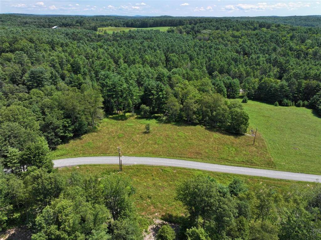 Cochecton, NY 12726,5 Pine Meadows Farm, Old County RD