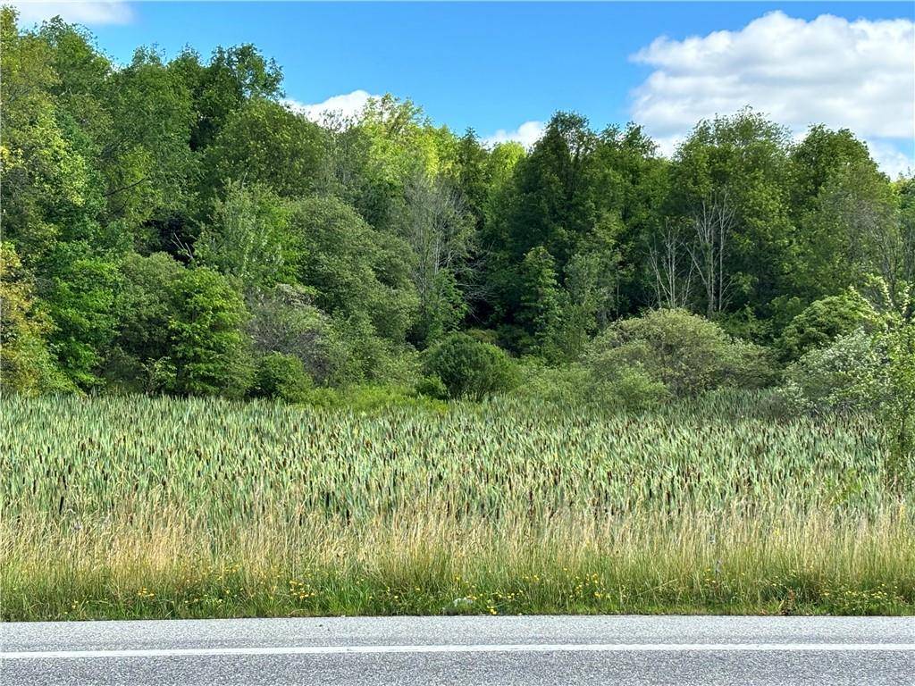 Walden, NY 12586,TBD Cr-17