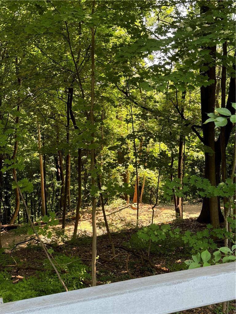 Nyack, NY 10960,1129 Route 9w