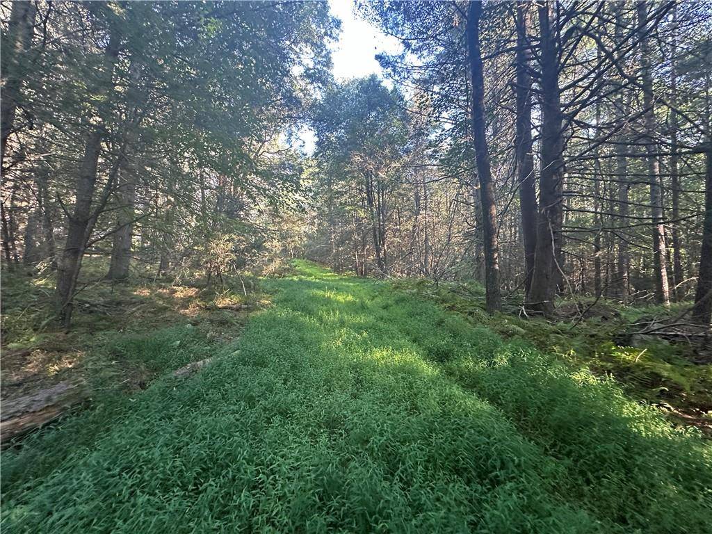 Barryville, NY 12719,Lot 15-6 Ward Brower Jr DR
