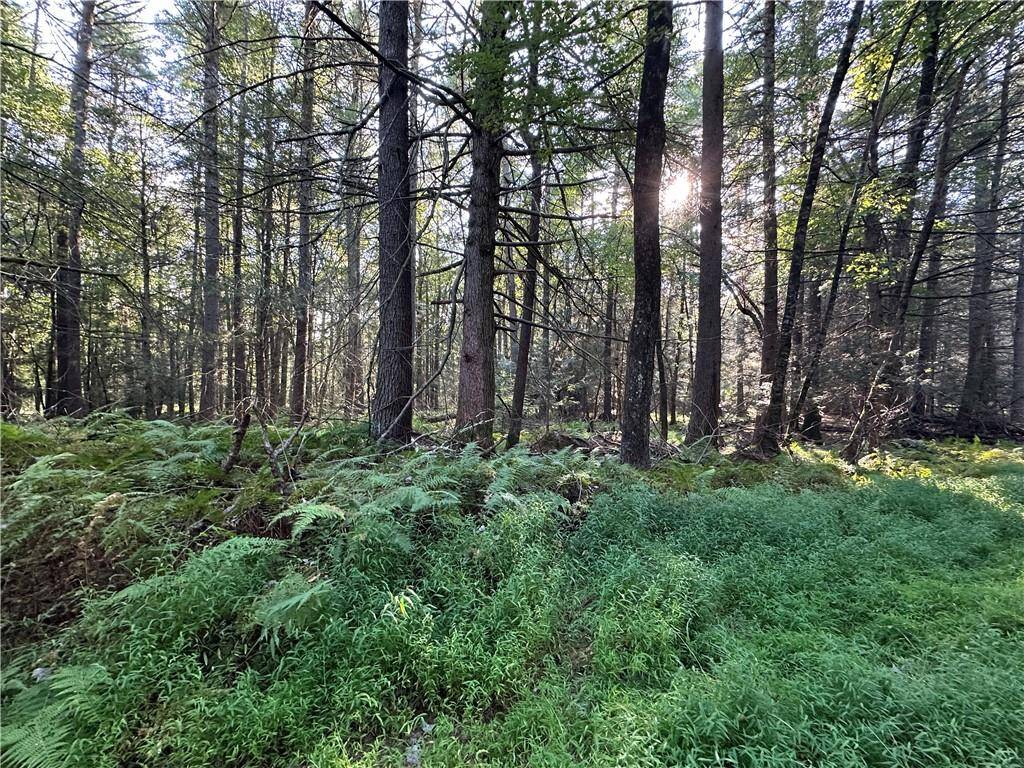 Barryville, NY 12719,Lot 15-6 Ward Brower Jr DR