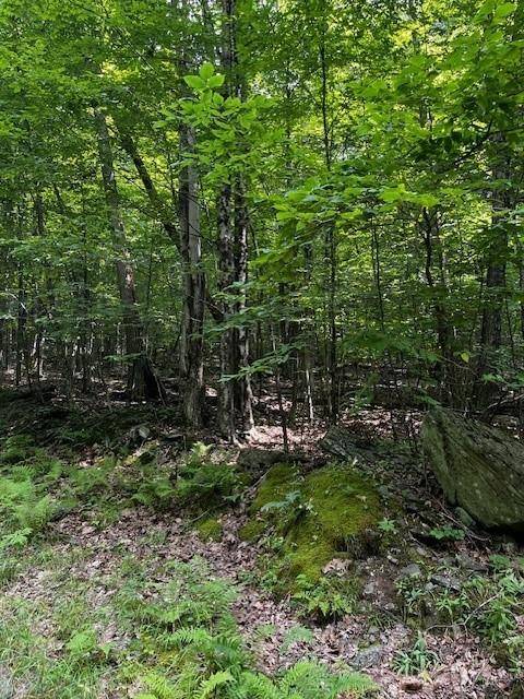 Downsville, NY 13755,Rt-30
