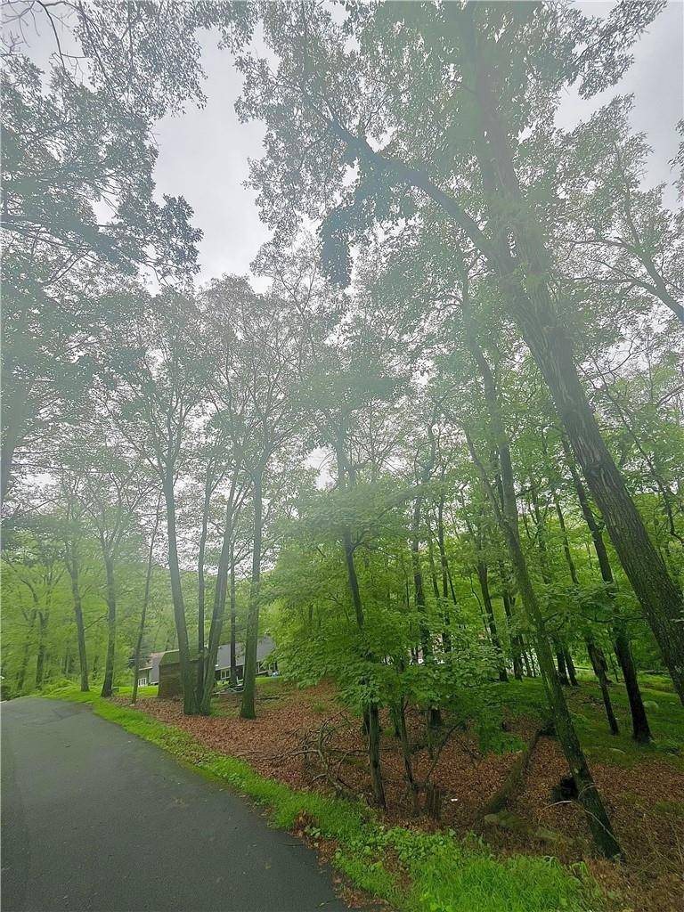 Sloatsburg, NY 10974,23 Dogwood RD