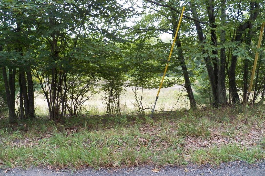 Mountain Dale, NY 12763,Painter Hill RD