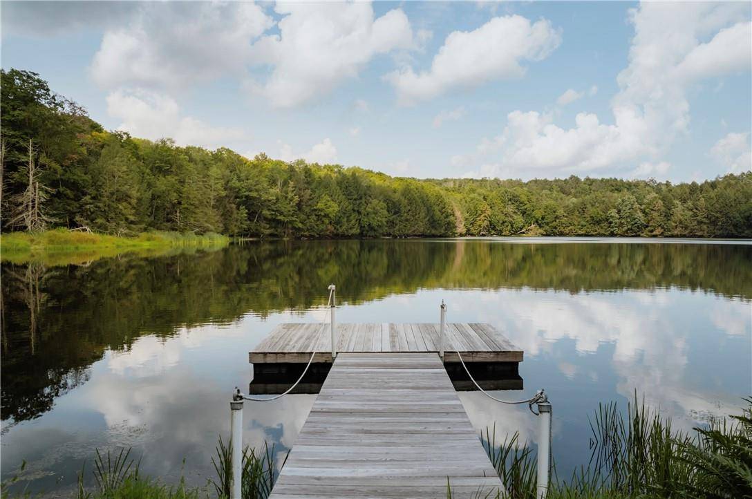 Long Eddy, NY 12760,527 Crawson RD