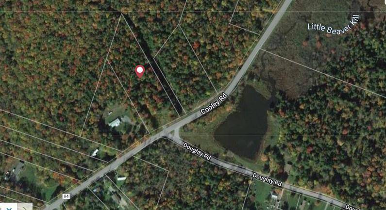 Parksville, NY 12768,Cooley RD