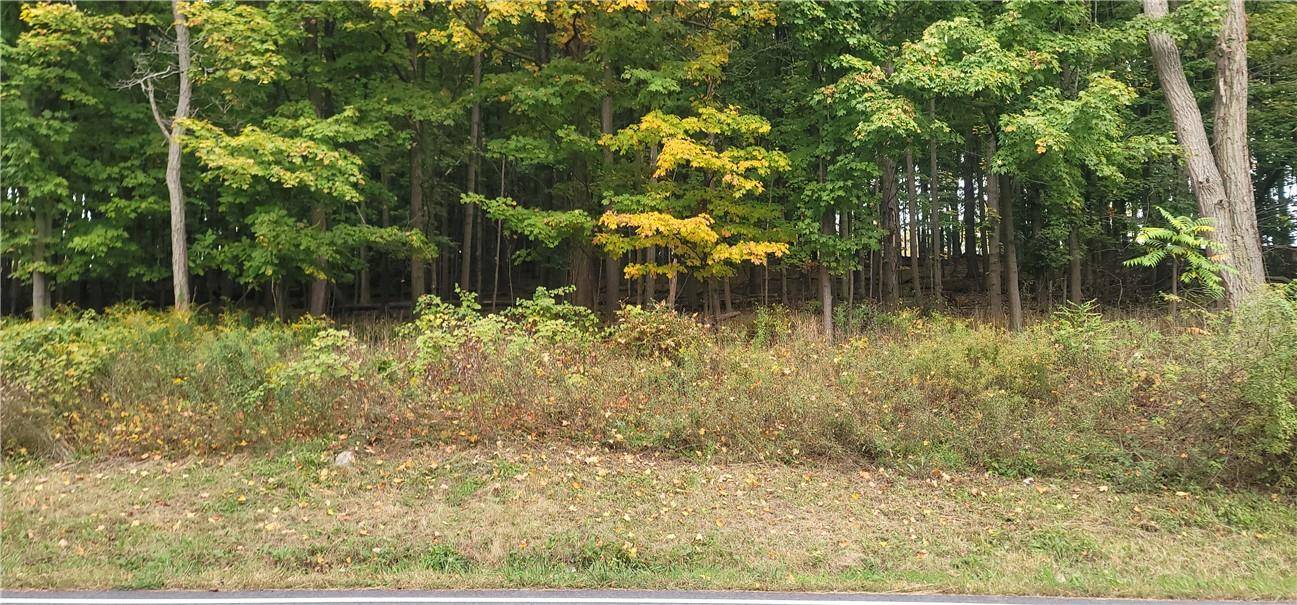 New Windsor, NY 12553,Lot 6 Bethlehem RD