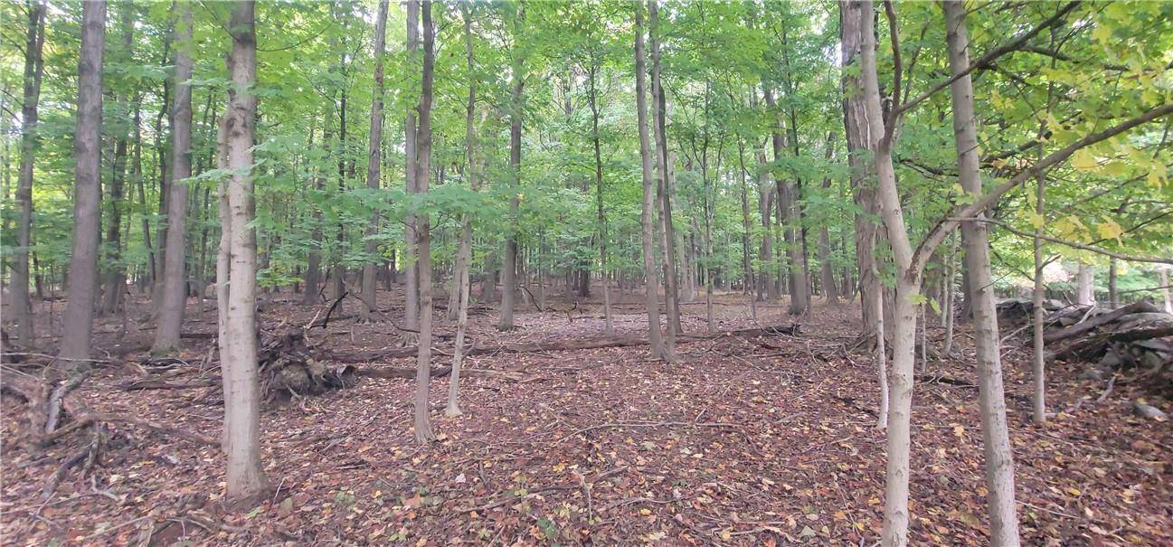 New Windsor, NY 12553,Lot 6 Bethlehem RD