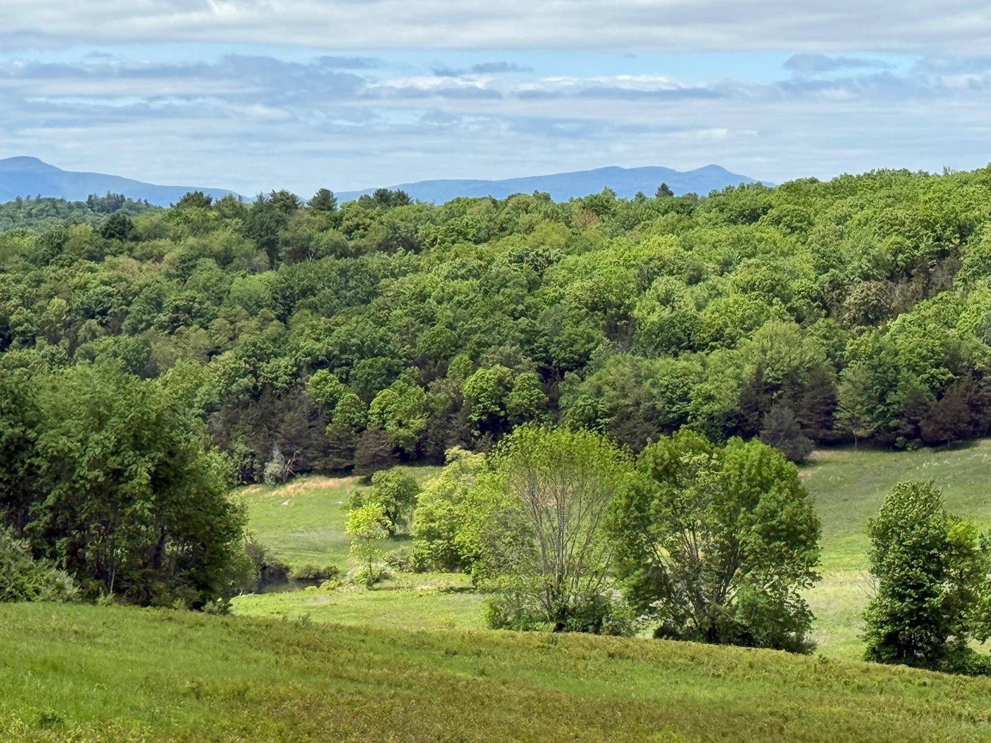 Pine Plains, NY 12567,Woodward Hill,Stissng Mount, Hicks Hill, Route 199