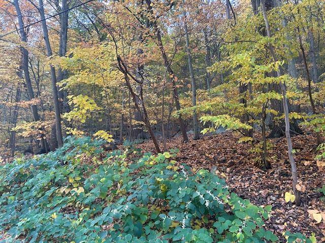 Hillburn, NY 10953,181 Route 17S