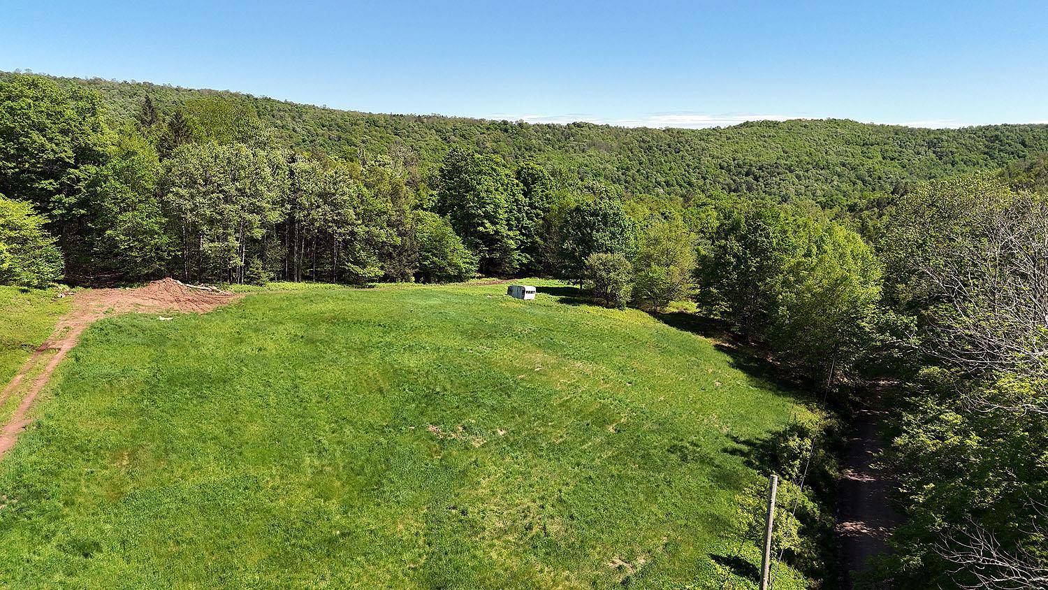 Long Eddy, NY 13783,John Milk RD