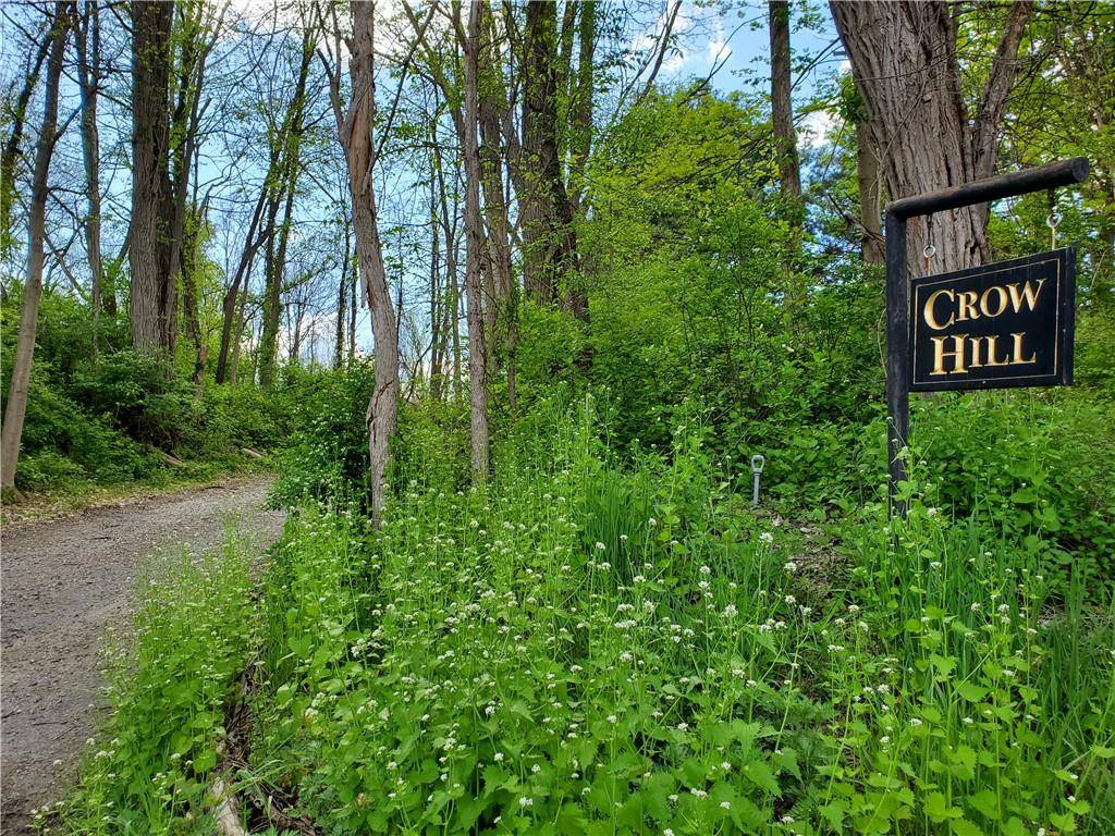 Rhinebeck, NY 12572,17 Crow Hill LN