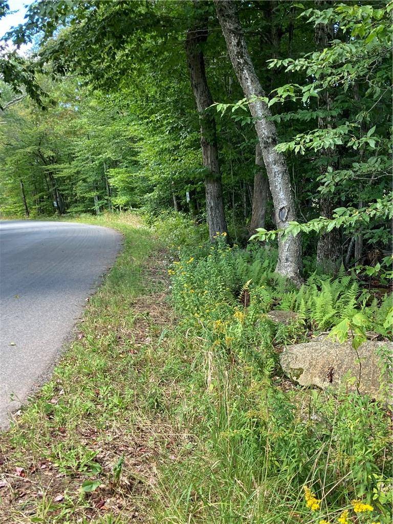 Livingston Manor, NY 12758,Fox Mountain