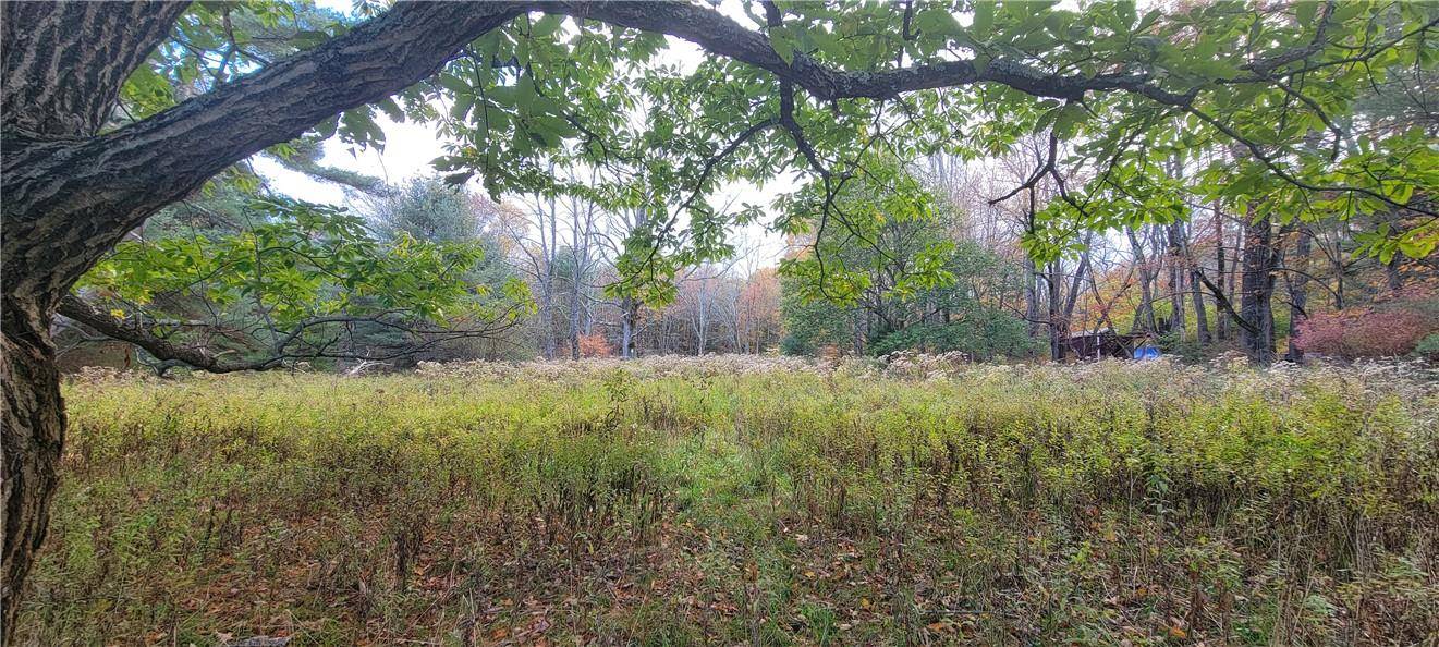 Mongaup Valley, NY 12762,1195 NYS Route 17B